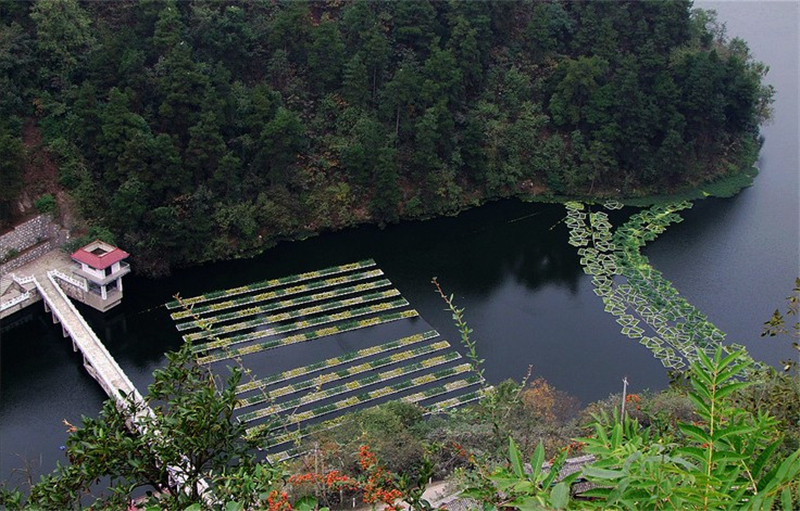 小关湖水库生态环境综合治理效果显著 小关湖水库生态环境综合治理效果显著