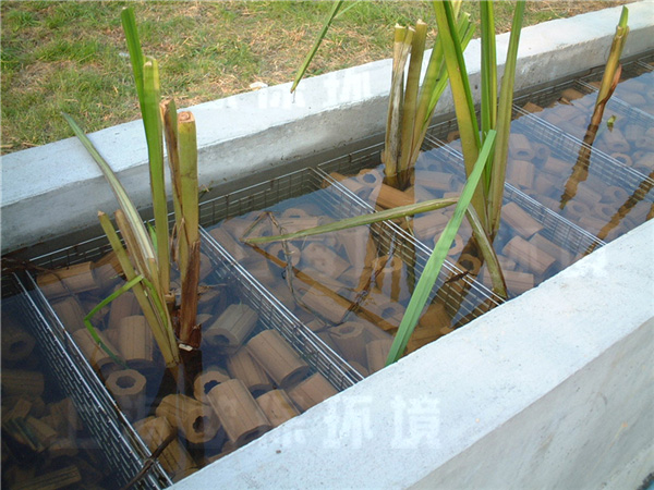 生物填料 生物填料