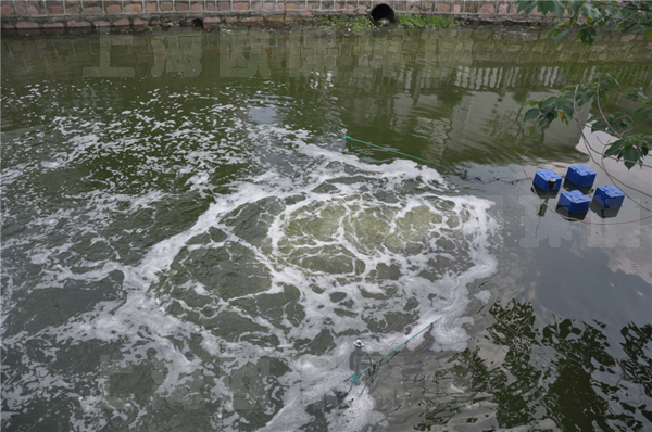 底改及强力复氧组合法 底改及强力复氧组合法