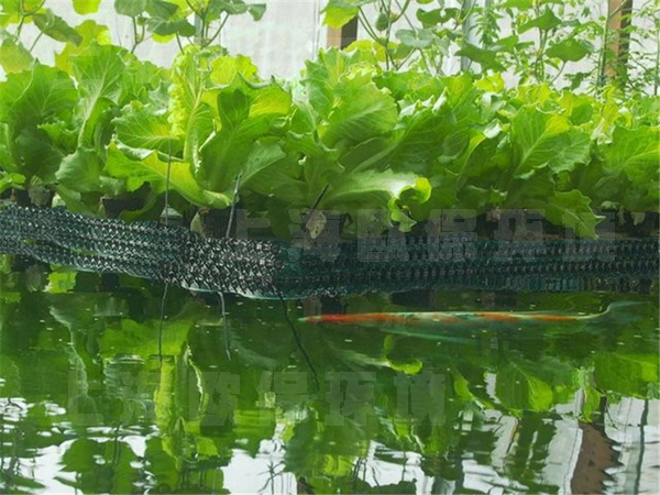 过滤型漂浮湿地污水净化法 过滤型漂浮湿地污水净化法