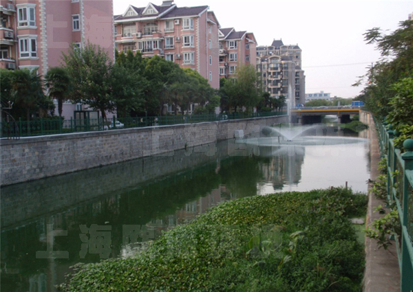 底改及强力复氧组合法 底改及强力复氧组合法