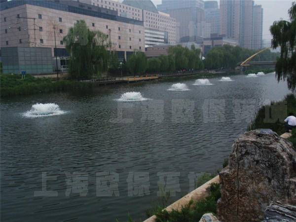 底改及强力复氧组合法 底改及强力复氧组合法