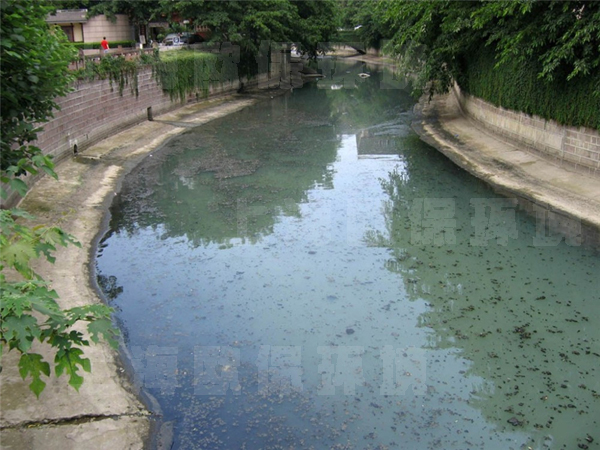 底改及强力复氧组合法 底改及强力复氧组合法