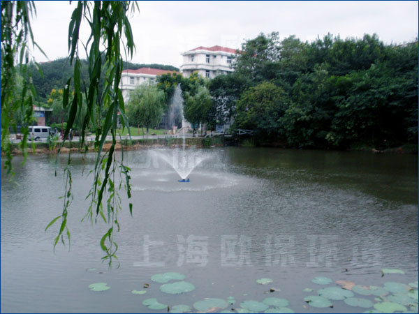 南京工业大学,人工湖治理,浮水喷泉,浮水喷泉曝气机 南京工业大学,人工湖治理,浮水喷泉,浮水喷泉曝气机