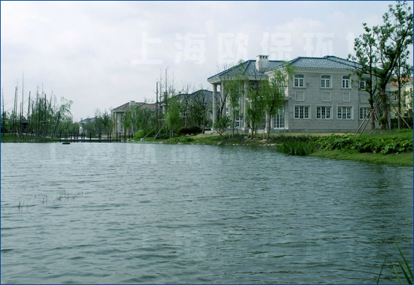 人工湖治理,上海中海翡翠湖岸 人工湖治理,上海中海翡翠湖岸