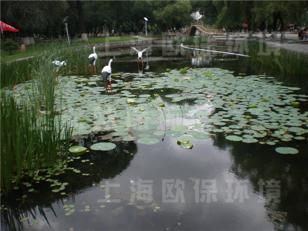 佳木斯杏林湖公园,人工湖治理,生态修复成果 佳木斯杏林湖公园,人工湖治理,生态修复成果