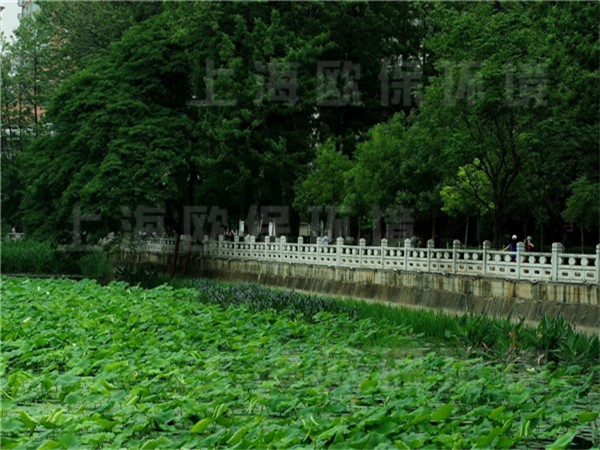 昆明翠湖公园,人工湖治理 昆明翠湖公园,人工湖治理