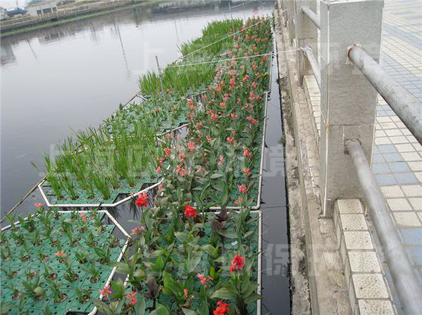 佛山里水河道治理 佛山里水河道治理