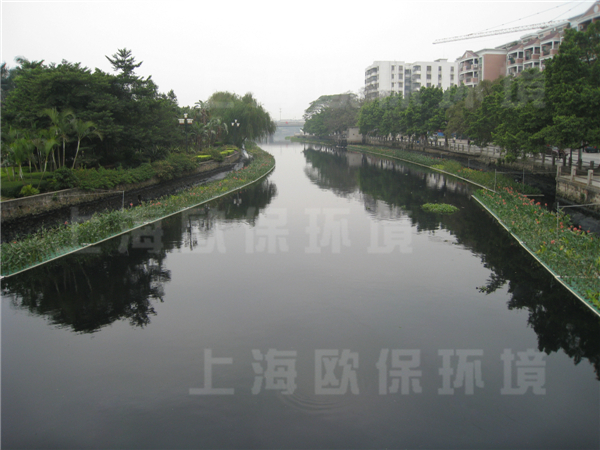 佛山里水河道治理 佛山里水河道治理