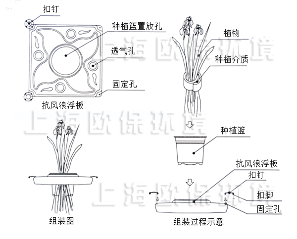 多年生抗风浪型生态浮岛种植方式 多年生抗风浪型生态浮岛种植方式