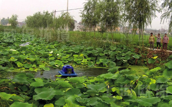 解层式太阳能曝气机在生态氧化塘中应用(一) 解层式太阳能曝气机在生态氧化塘中应用(一)
