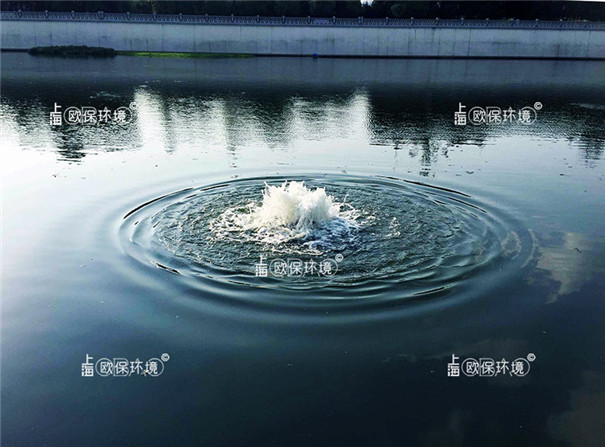 涌泉式曝气机安装在高尔夫景观河道中工作状态 涌泉式曝气机安装在高尔夫景观河道中工作状态
