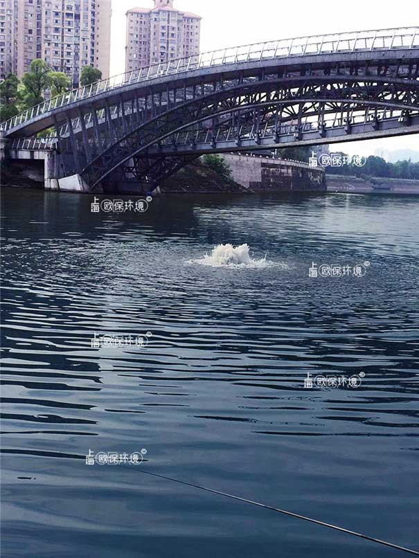 涌泉式曝气机河道中的应用 涌泉式曝气机河道中的应用