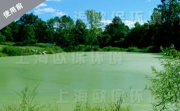使用水库生态修复装置前,水体富营养化,出现水华 使用水库生态修复装置前,水体富营养化,出现水华