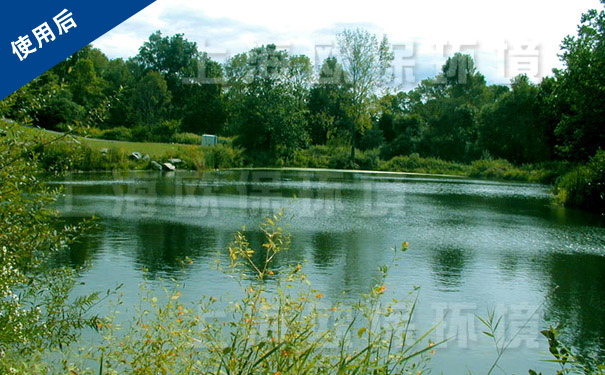 使用水库生态修复装置后,水华消失,水体生态自然 使用水库生态修复装置后,水华消失,水体生态自然