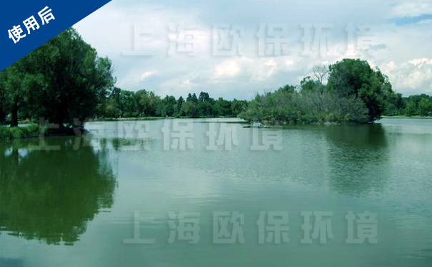 水库生态修复装置治理后,藻类消失,溶解氧>3mg/L 水库生态修复装置治理后,藻类消失,溶解氧>3mg/L