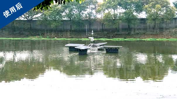 水处理后,溶氧充足,蓝藻受到抑制,水色自然 水处理后,溶氧充足,蓝藻受到抑制,水色自然
