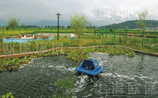 解层式太阳能曝气机在农村污水处理项目中应用(二) 解层式太阳能曝气机在农村污水处理项目中应用(二)