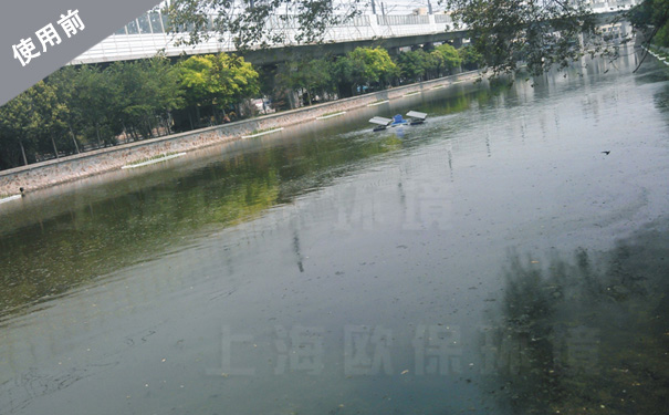 水处理前,水体蓝藻滋生,景观效果差 水处理前,水体蓝藻滋生,景观效果差