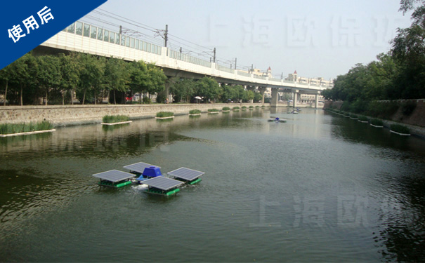 水处理实施三月后,蓝藻受到抑制,水色自然,恢复观赏性 水处理实施三月后,蓝藻受到抑制,水色自然,恢复观赏性