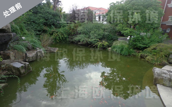   治理前，水体藻类滋生