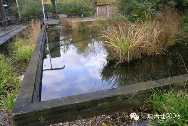 水池及水生植被 水池及水生植被