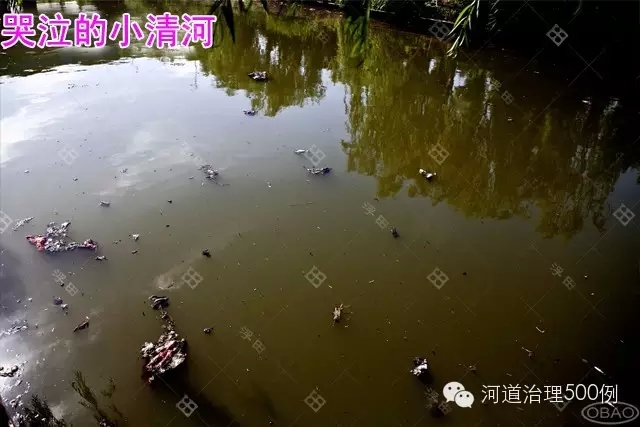 小清河污染不断 小清河污染不断