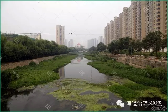 小清河现状一角,仍有部分地方改善不佳 小清河现状一角,仍有部分地方改善不佳