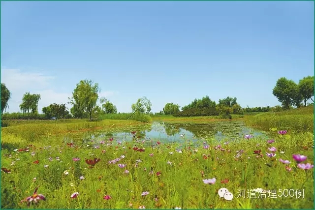 小清河湿地公园 小清河湿地公园