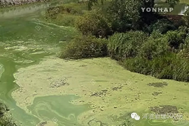 &ldquo;死亡之河&rdquo;&mdash;&mdash;太和江