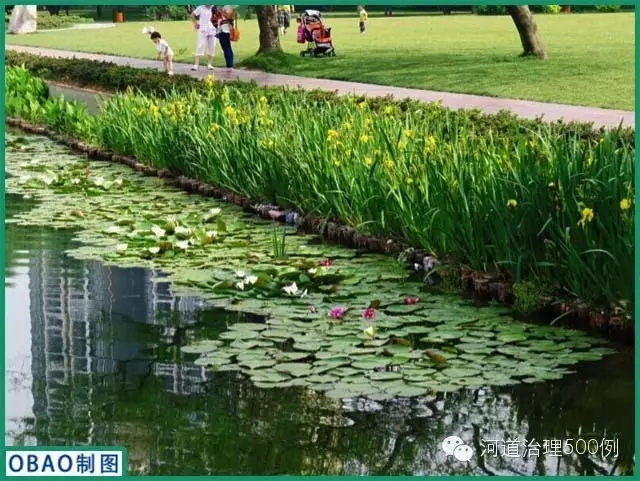 【国内案例】&ldquo;首批海绵城市示范湖泊治理&rdquo;&mdash;&mdash;常德滨湖公园水环境生态修复