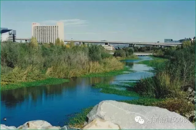 1999年,这张照片显示了自然植被和野生动物已经回到了环境中。 1999年,这张照片显示了自然植被和野生动物已经回到了环境中。