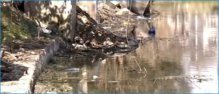 治水不力 余杭一名河长被党内警告