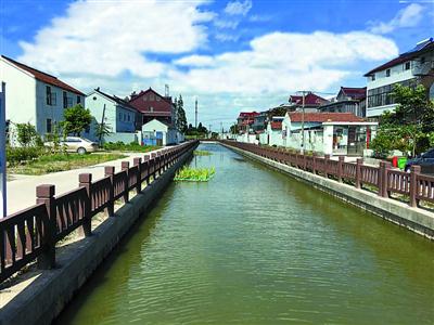 生态治理进入"深水区"的上海青浦怎样啃下"硬骨头"