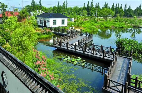 生态治理进入"深水区"的上海青浦怎样啃下"硬骨头"