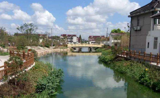 闵行142条河道月底告别黑臭 水生态修复成整治重点