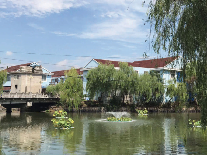 桐乡这个村,河道水质跨越式提升有啥秘诀 欧保FANS喷泉曝气机 桐乡这个村,河道水质跨越式提升有啥秘诀 欧保FANS喷泉曝气机