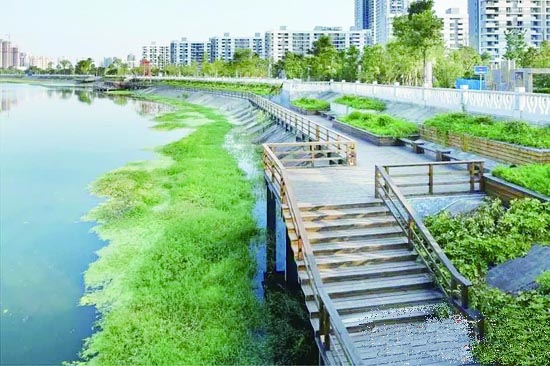 启动水系生态同步治理 临水而建联盟生态公园 启动水系生态同步治理 临水而建联盟生态公园