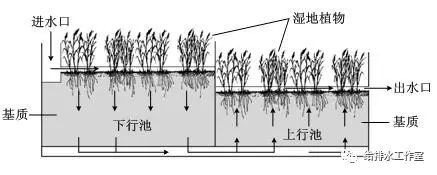 河道景观等黑臭水体生态修复技术及评价