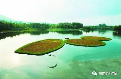 河道景观等黑臭水体生态修复技术及评价浮田型漂浮湿地