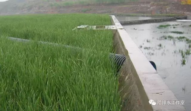 河道景观等黑臭水体生态修复技术及评价