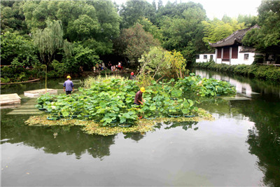 盐城大丰建成167条农村生态河道 盐城大丰建成167条农村生态河道