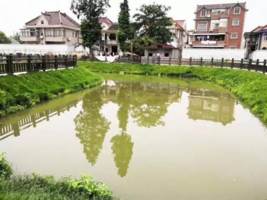 苏州河越来越"水灵":4条支流华丽变身、滨江休闲生态走廊初具雏形