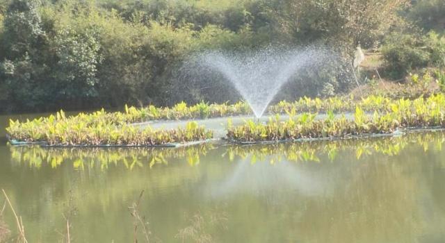 麒麟街道河道治理FANS喷泉曝气机