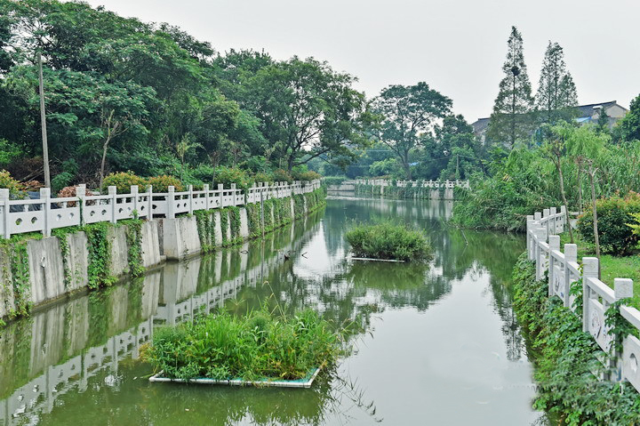 连云港市整治创新 景观水面将现更多欧保生态浮岛