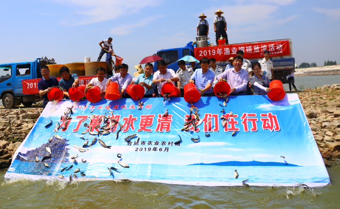 400万尾鲢鱼放入巢湖“吃”蓝藻,治藻的对策应该是除藻抑藻 400万尾鲢鱼放入巢湖“吃”蓝藻,治藻的对策应该是除藻抑藻