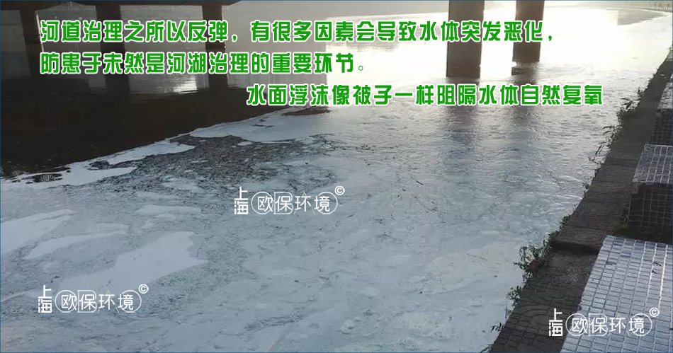 泡沫覆盖水面,对水体产生严重影响,不光使水面复氧隔断,同时还影响水面观感 泡沫覆盖水面,对水体产生严重影响,不光使水面复氧隔断,同时还影响水面观感