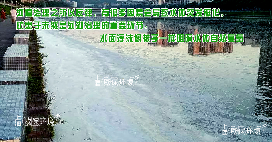 泡沫覆盖水面,对水体产生严重影响,不光使水面复氧隔断,同时还影响水面观感 泡沫覆盖水面,对水体产生严重影响,不光使水面复氧隔断,同时还影响水面观感