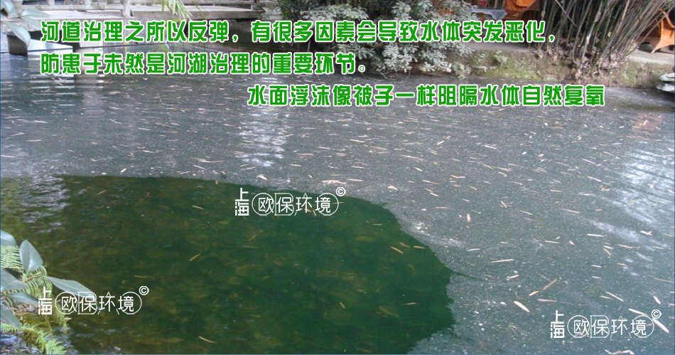 浮沫覆盖水面,像被子一样阻隔水体,导致水体容易黑臭 浮沫覆盖水面,像被子一样阻隔水体,导致水体容易黑臭