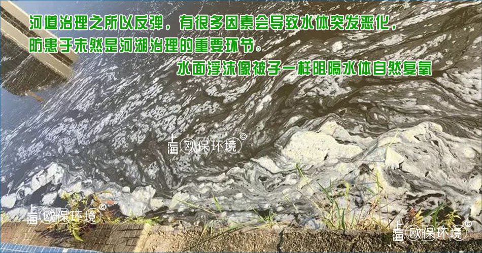 严重的浮沫直接导致水体发臭,影响水生动物的生长 严重的浮沫直接导致水体发臭,影响水生动物的生长